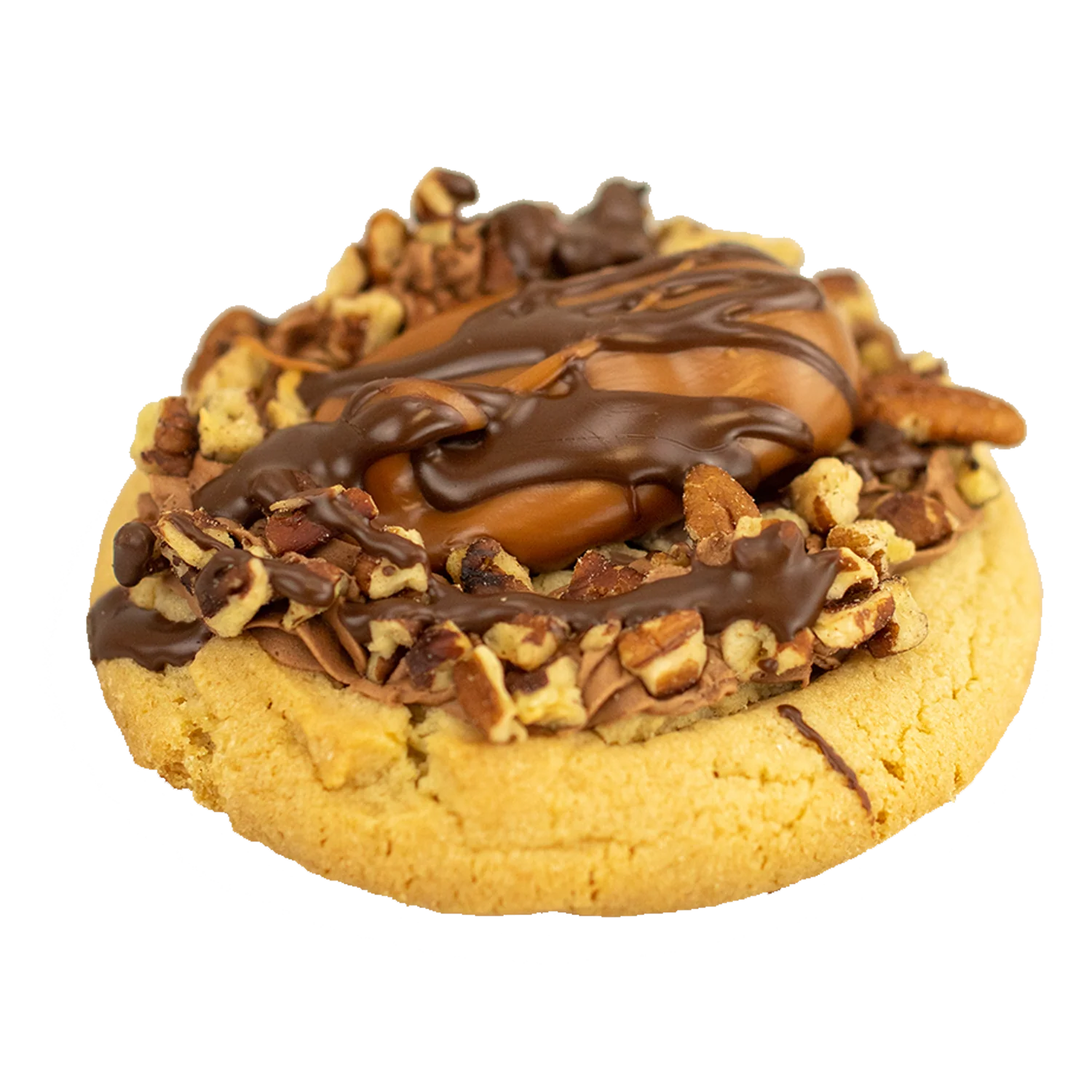 Turtle Cookie